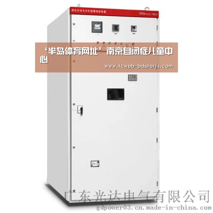 半岛体育下载