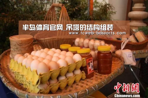 半岛体育官网